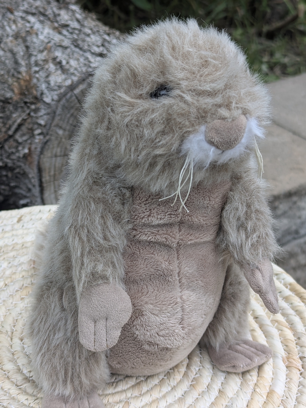 Rare Ganz Webkinz Prairie Dog Plush Y2K Nostalgia Core Cottagecore